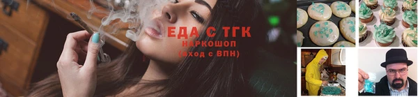 индика Абинск