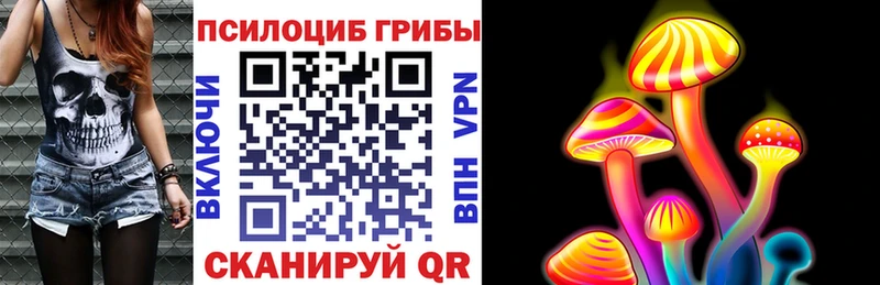 Псилоцибиновые грибы Psilocybe Аткарск